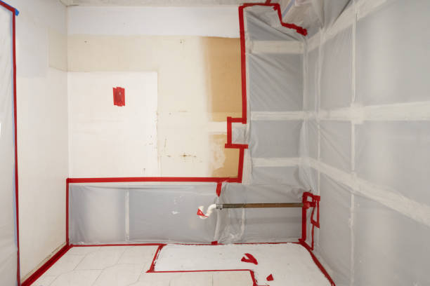 Best Mold Damage Restoration  in Colby, WI