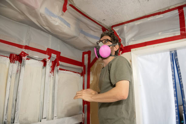 Best Commercial Mold Inspection  in Colby, WI